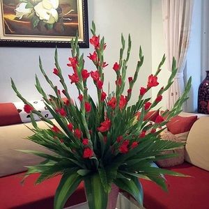 Meet your Posher, Thao